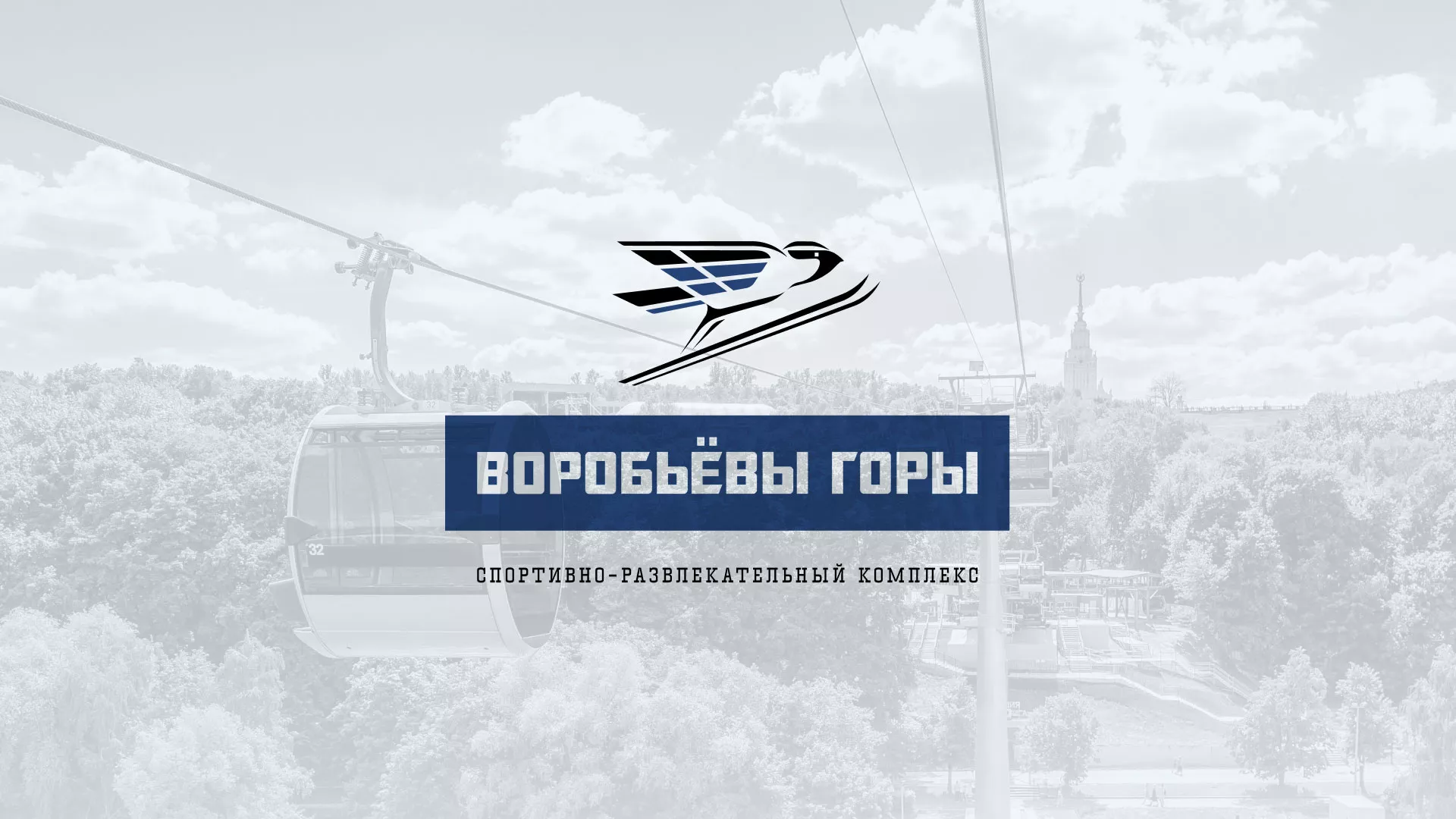 Разработка сайта в Кимовске для спортивно-развлекательного комплекса «Воробьёвы горы»